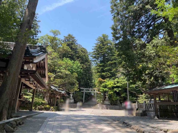 総集編