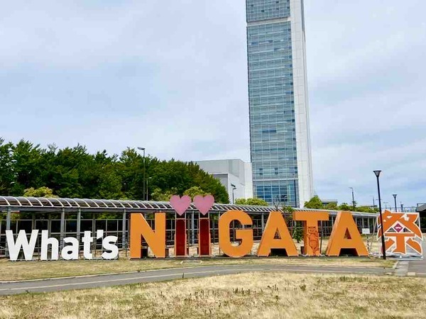 新潟市 イベント 7月