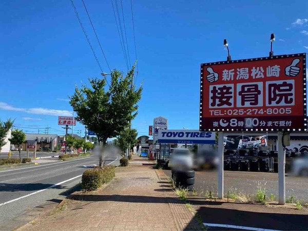 鴨とささ樹