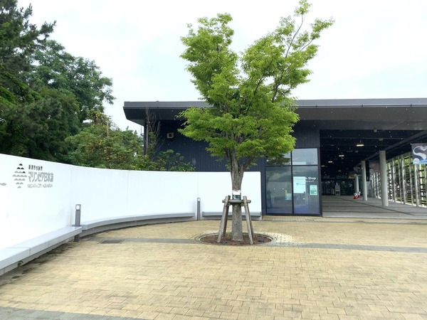 cc2e0bf244efa17233097102ac53f0534_27454546_200710_27