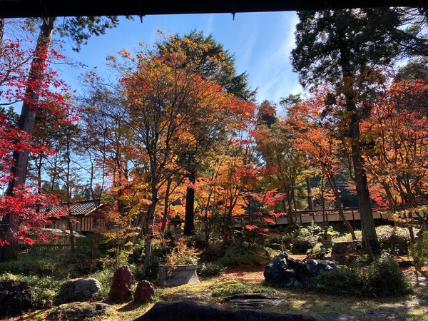 紅葉スポット2024 新潟市 中野邸記念館