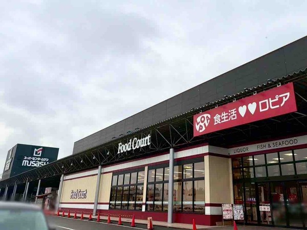 マスヤブレドール ロピアムサシ新潟店