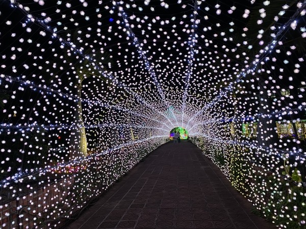 光のファンタジア