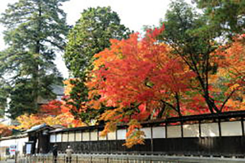 中野