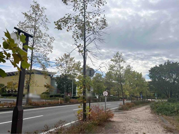 新潟市新津美術館
