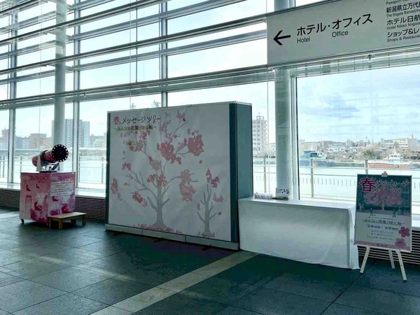 春のメッセージツリー