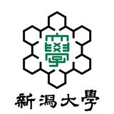 新台②