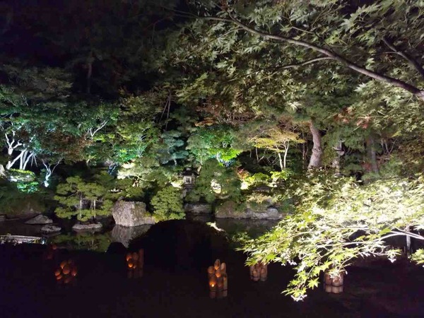 秋の庭園ライトアップ2025