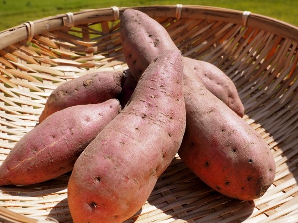 日報+BSN 住まいの広場 新潟南会場