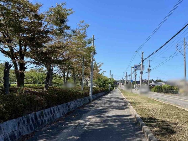 佐潟公園 佐潟まつり