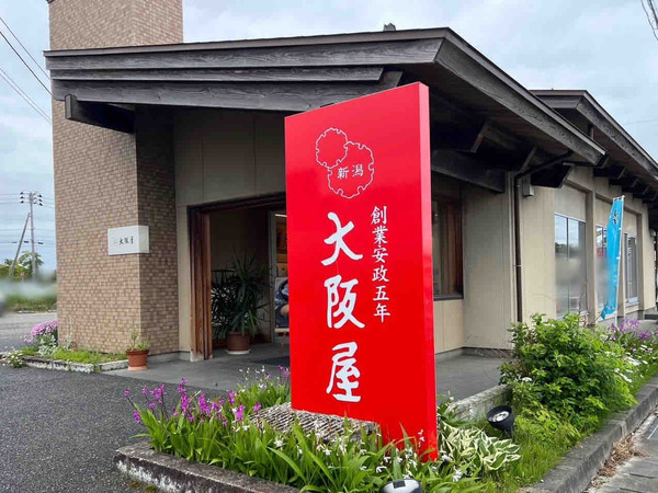 春のお楽しみフェア 大阪屋