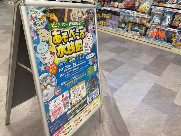 アピタパワー新潟亀田店