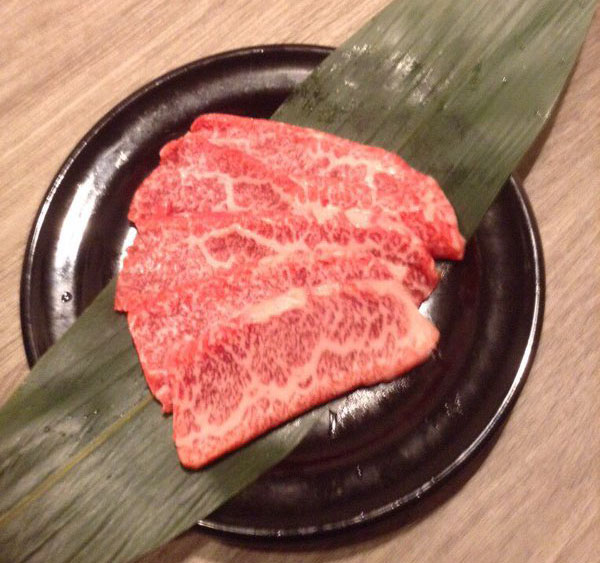 肉のコピー
