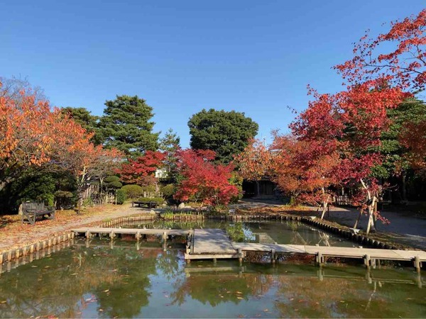 北方文化博物館 紅葉