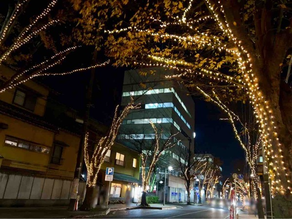 NIIGATA光のページェント