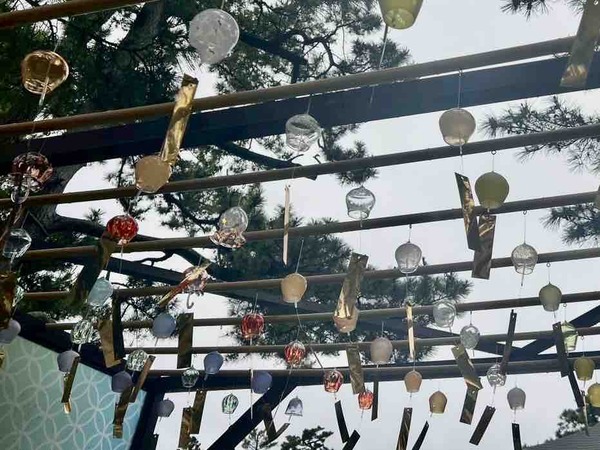 新潟市 イベント 6月