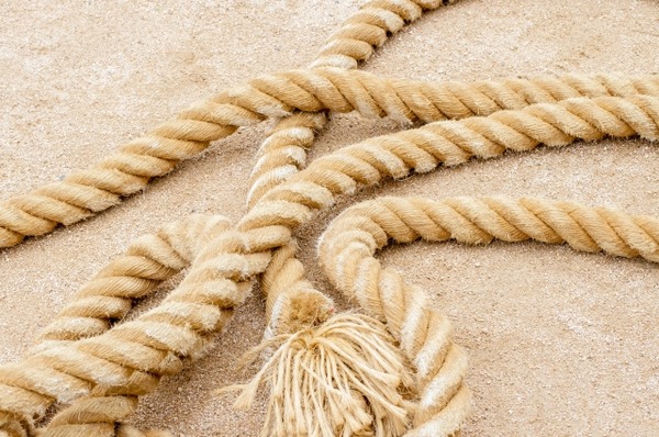 新潟しんきんカップ~第37回 新潟市民綱引き大会