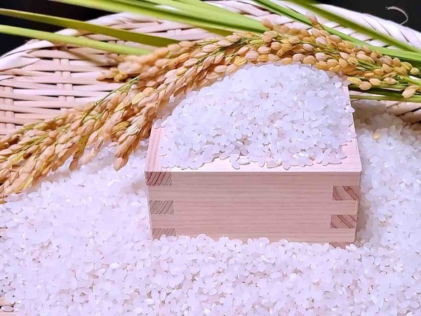 日報+BSN 住まいの広場 新潟南会場