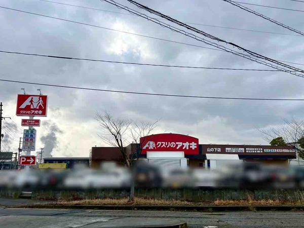 クスリのアオキ 山の下店