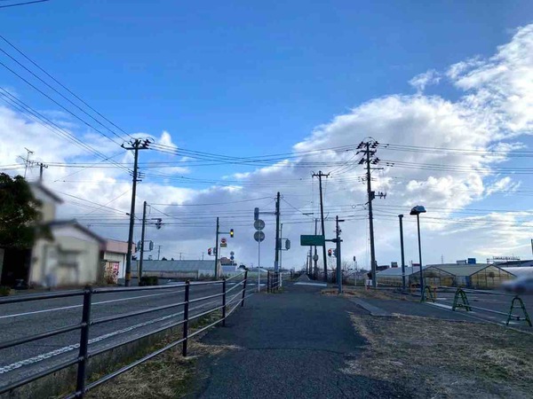 ハチトラ 竹尾店