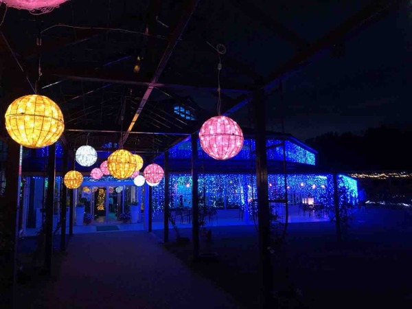 いくとぴあ食花 夏のイルミネーション 中止