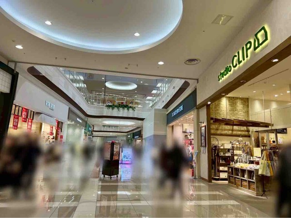 Vif Vif by cloverleaf