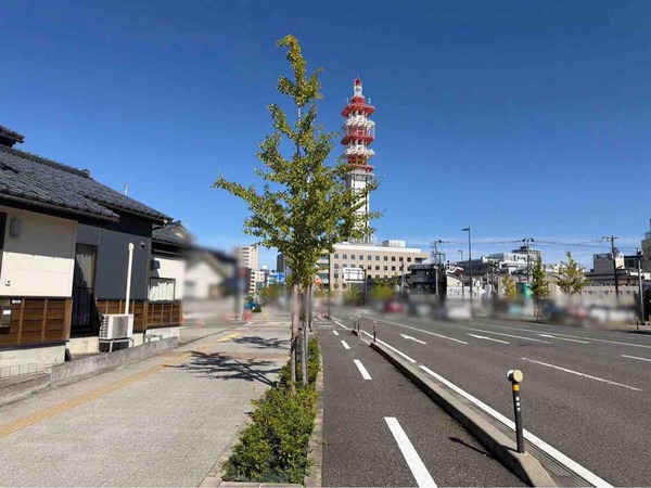 さかなのたまこ