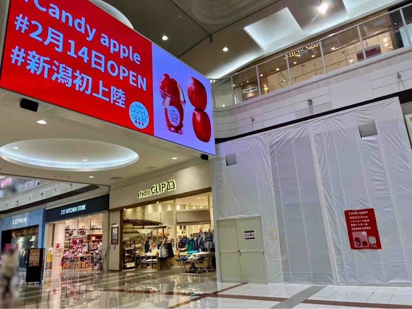 代官⼭Candy apple イオンモール新潟亀田インター店（キャンディーアップル）