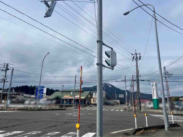 さつまいも詰め放題