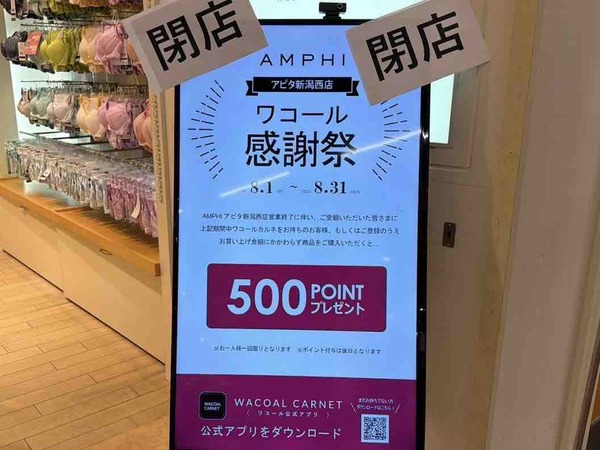 AMPHI アピタ新潟西店(アンフィ)
