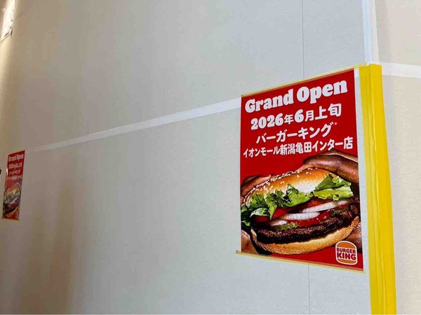バーガーキング イオンモール新潟亀田インター店（BURGER KING）