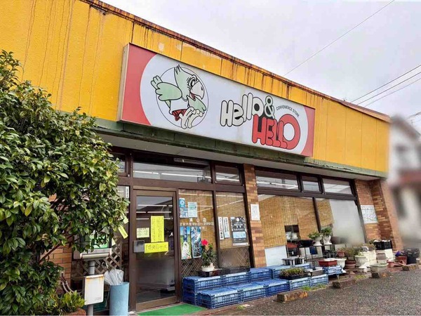 ハロー&ハロー 浦山店