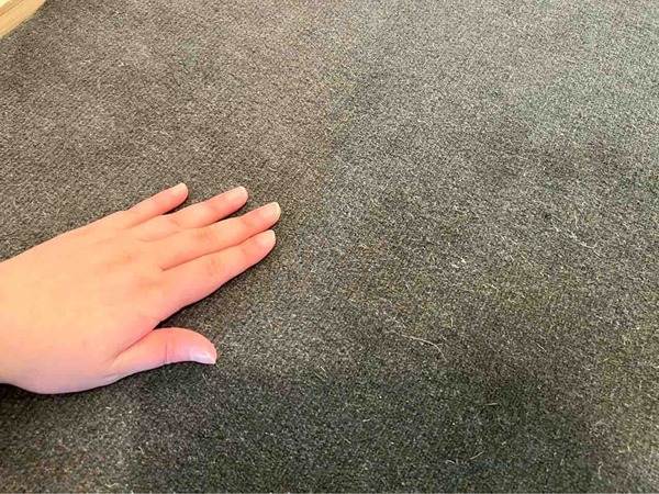 オーガニックスタジオ新潟