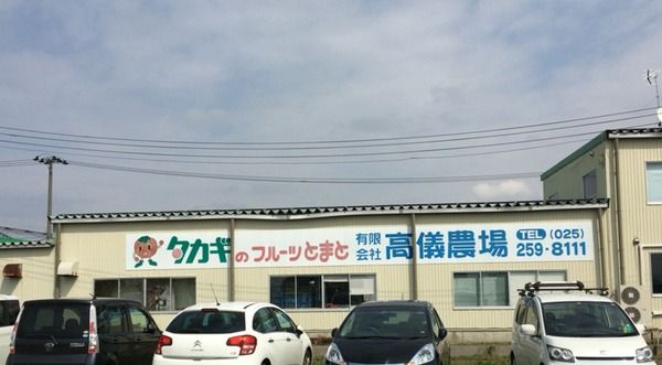 タカギ