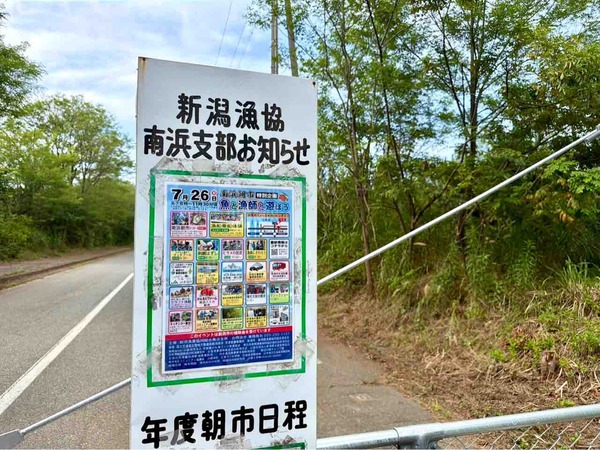 南浜朝市 特別企画 魚と漁師と遊ぼう