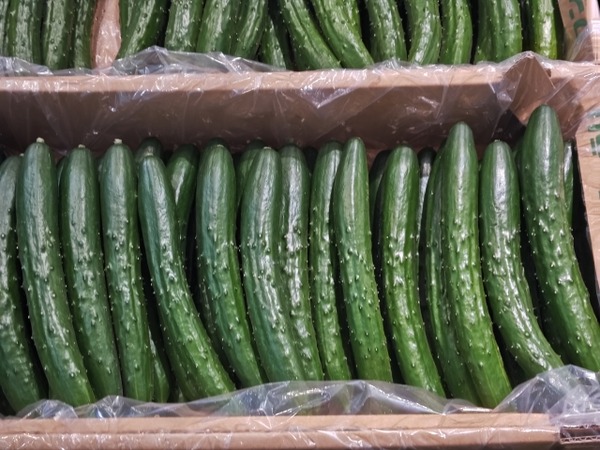 野菜アラカルト詰め放題