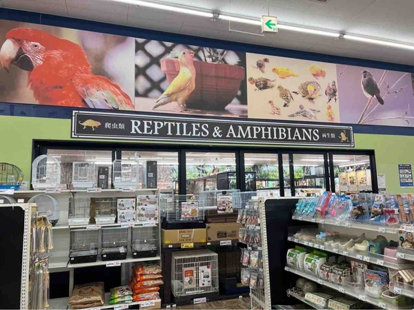 爬虫類即売会 ムサシ
