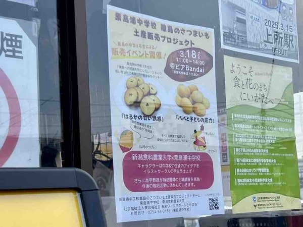 粟島浦中学校 離島のさつまいも