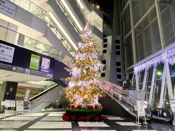 西堀通『NEXT21』に『クリスマスツリー』展示！11月23日～12月25日