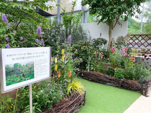夢は叶えるもの ターシャ・テューダー人生の軌跡展