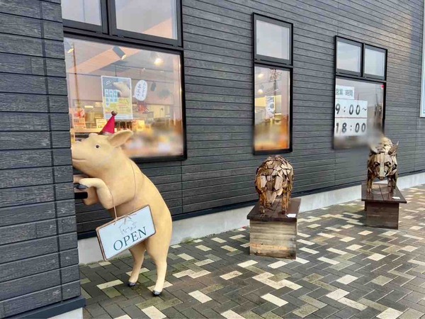La・Cotte (ラコッテ) 豚 名前 募集