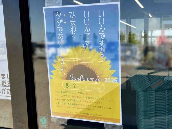 Sun Flower Fes2025
