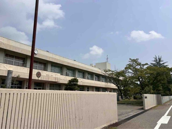 茨曽根サマーフェスティバル2025