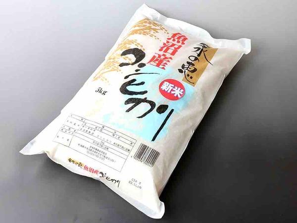 日報+BSN 住まいの広場 新潟南会場