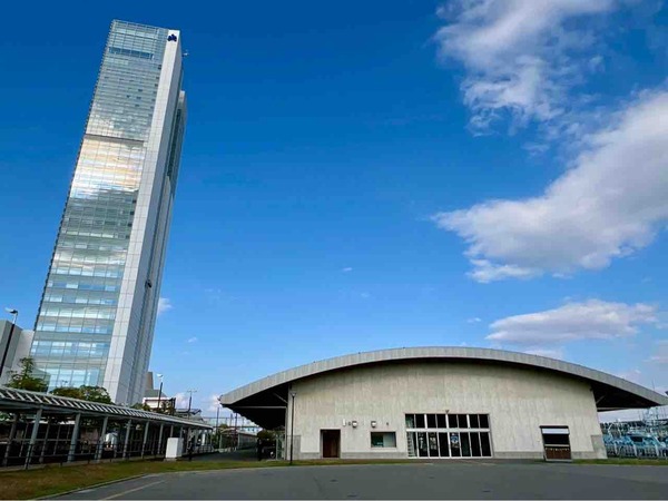 にいがた犬の陣×猫の陣