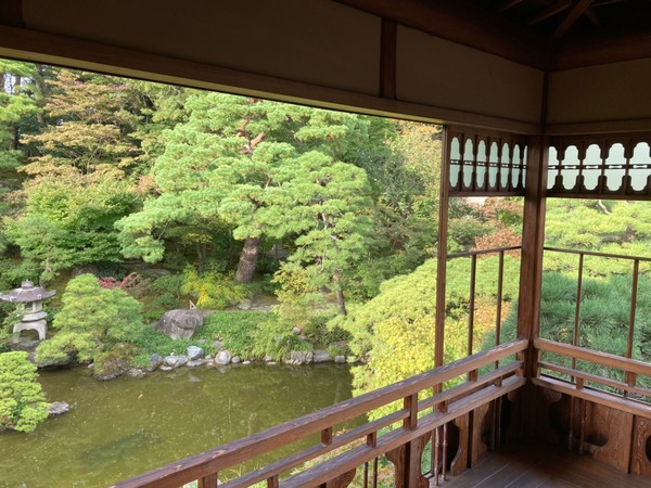 秋の庭園ライトアップ2025