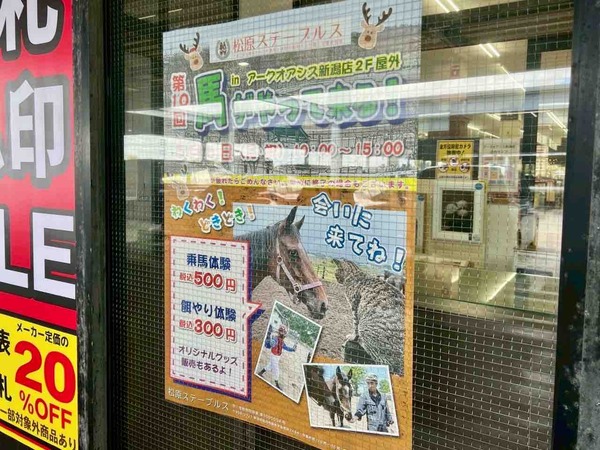 第10回 馬がやって来る!