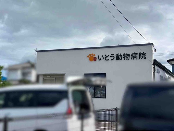 いとう動物病院5