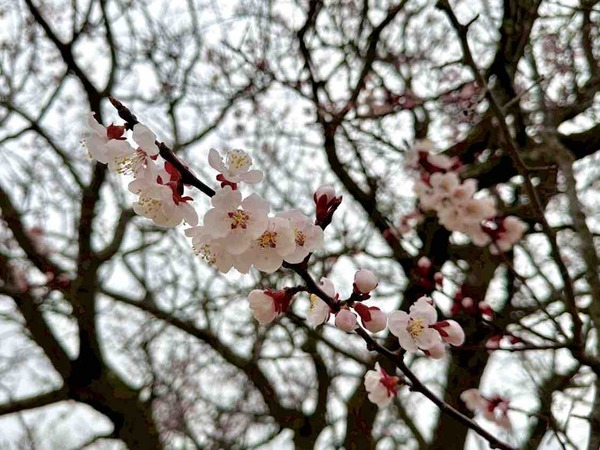 イベントまとめ