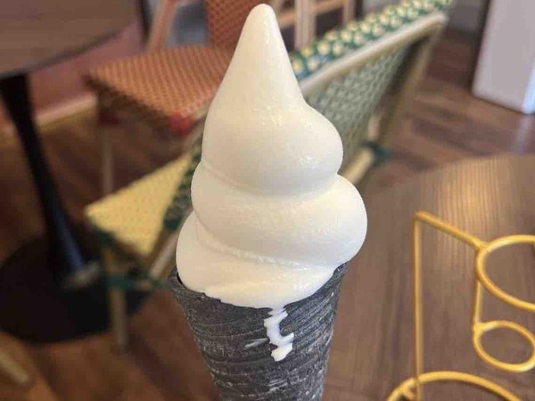Gecko SOFT CREAM(ゲッコー)